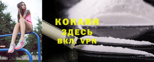 дурь Пересвет