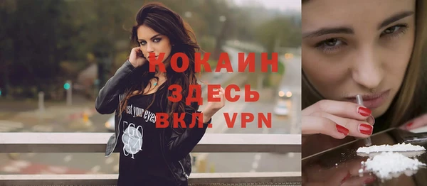дурь Пересвет