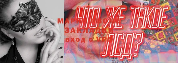 дурь Пересвет