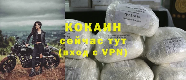 дурь Пересвет