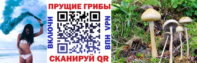 Галлюциногенные грибы мухоморы  Купить  Кизел 